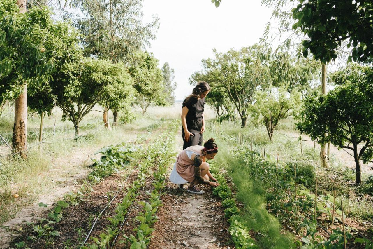 Humus Farm Vila Águas de Moura Exterior foto